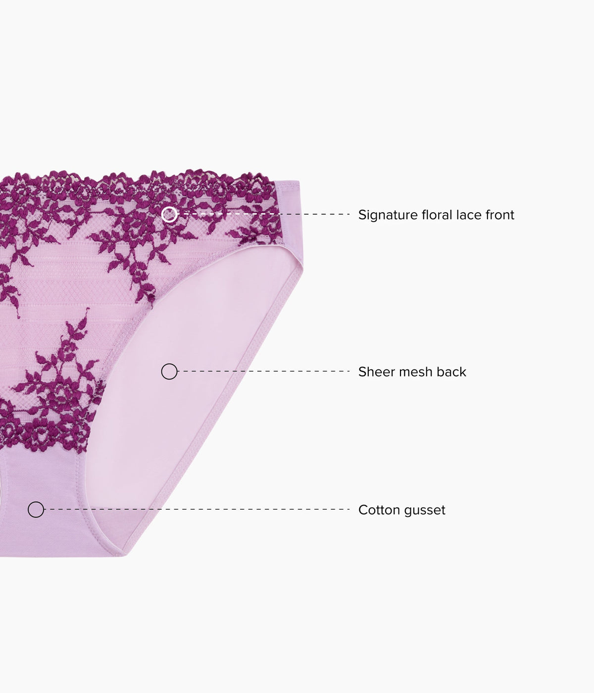 Embrace Lace® Bikini - Lavender Sage/Dark Purple | Wacoal Great Value