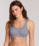 Dapple Gray